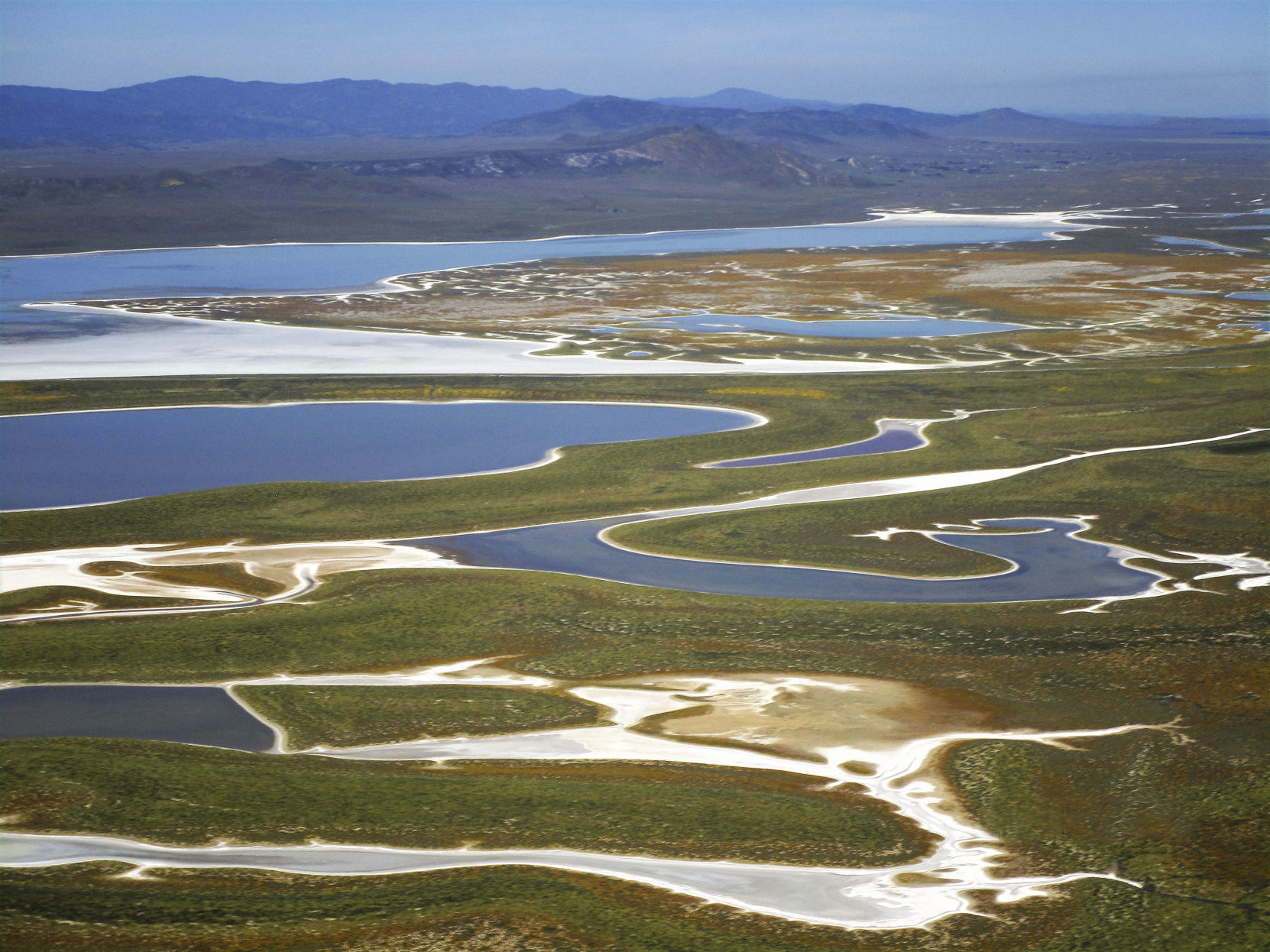 041319 Superbloom Soda Lake 06.jpg